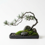 Çoklu Bonsai Kompozisyon