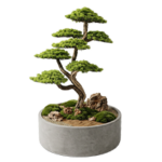 Mermer Bonsai Tablolar